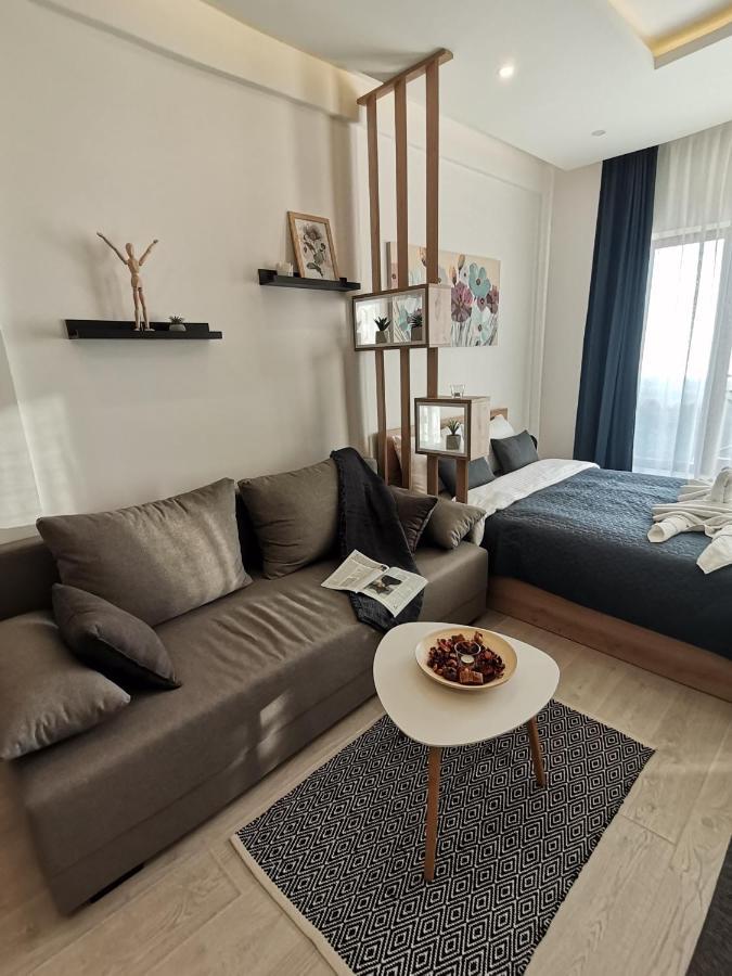 Sans Lux Apartman N42 Milmari Копаоник Экстерьер фото