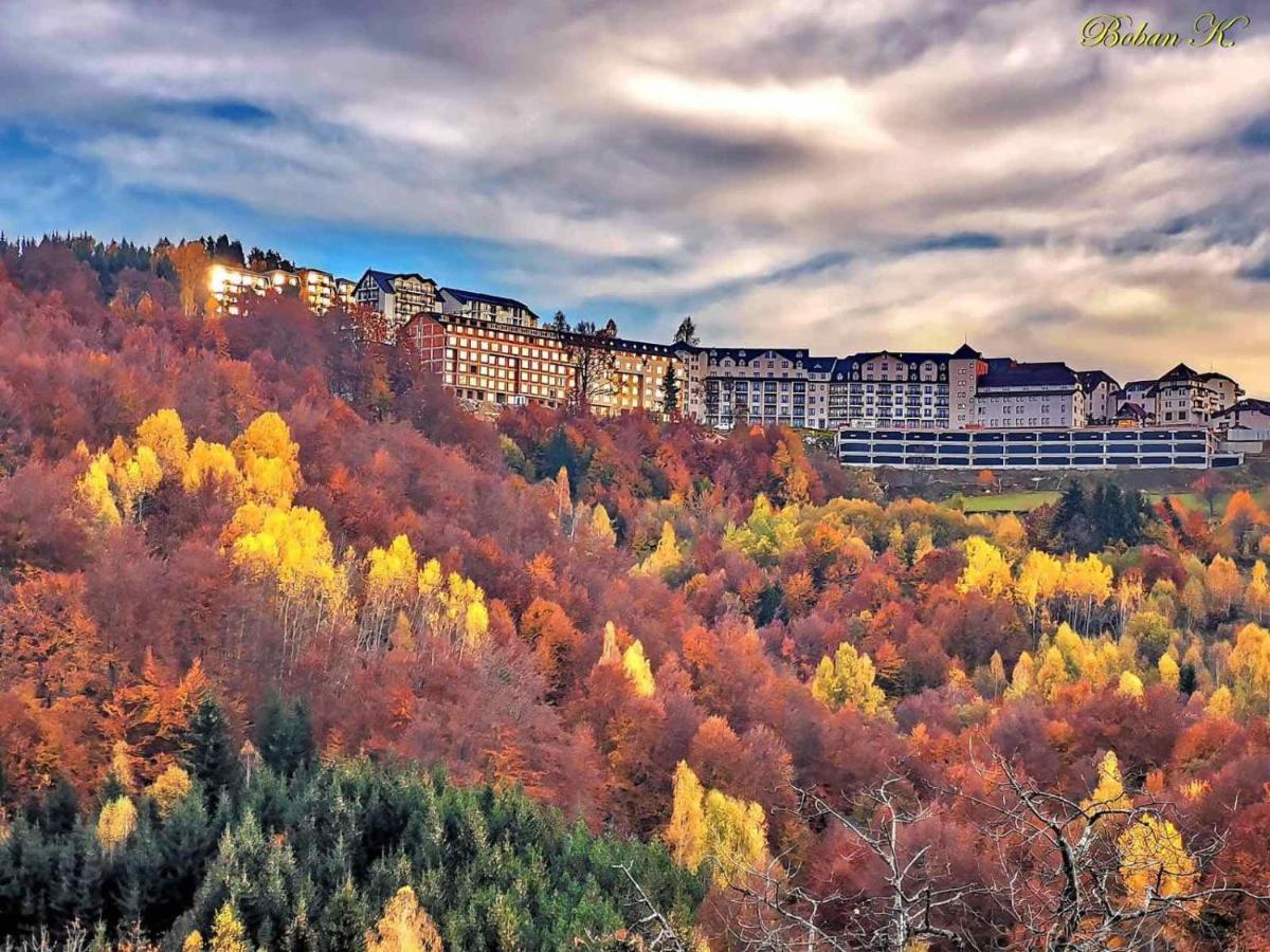 Sans Lux Apartman N42 Milmari Копаоник Экстерьер фото