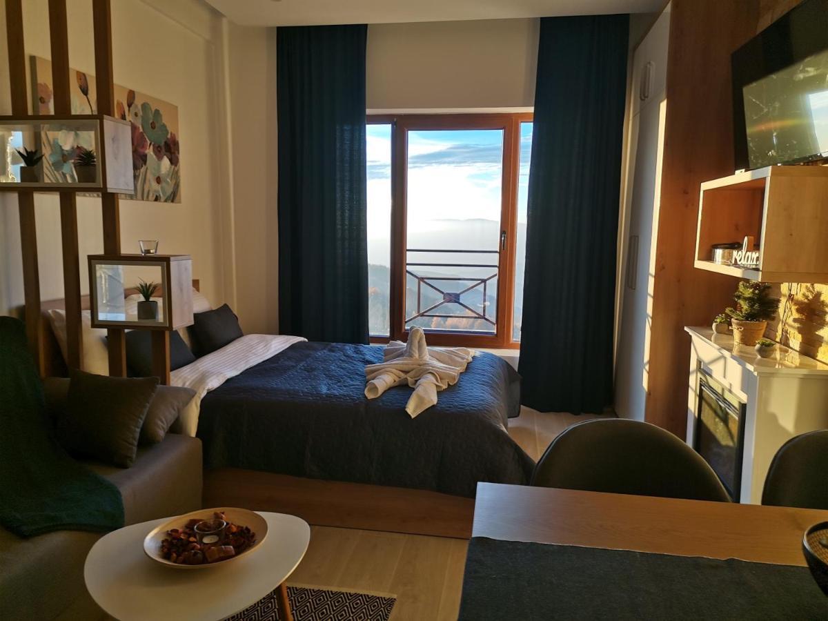 Sans Lux Apartman N42 Milmari Копаоник Экстерьер фото