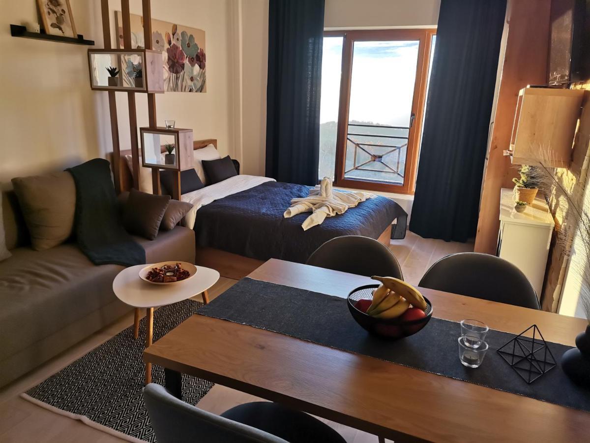 Sans Lux Apartman N42 Milmari Копаоник Экстерьер фото